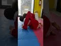 LOTTA Shorts Warpedo Lotta Fijlkam Kroton Martialarts Kids