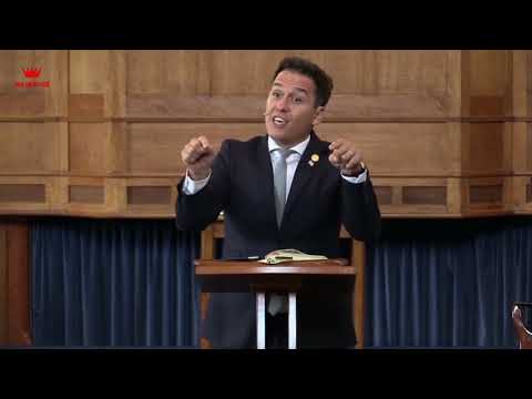 Strajerii  mintii  -  Florin Antonie