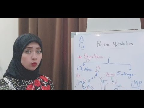 ( NUCLEOPROTEIN Metabolism Session 1) NUCLEOPROTEIN