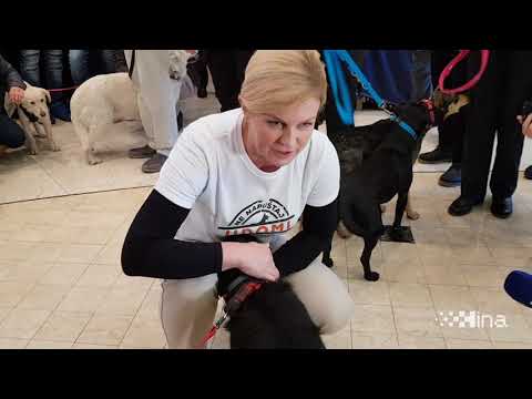 Ured predsjednice: Dan otvorenih vrata posvećen udomljavanju životinja