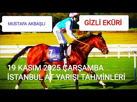 WEDNESDAY, NOVEMBER 19, 2025 ISTANBUL HORSE RACE PREDICTIONS ARE ON OUR SECRET SAME MATCH CHANNEL