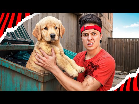 I TOOK CARE OF AN ABANDONED DOG! *24 Hours