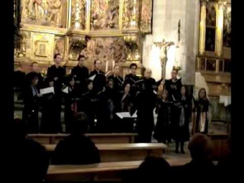 CORO PICCOLO. IN MONTE OLIVETTI (Donatas Zakaras)