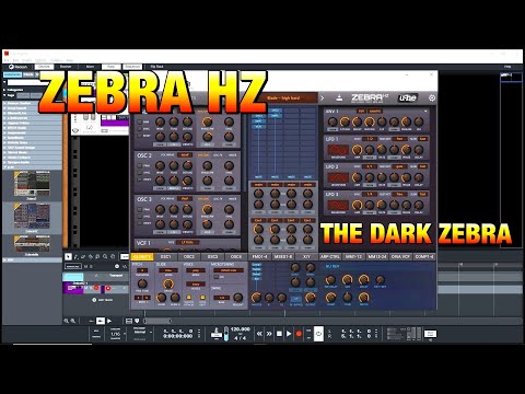 ZebraHZ - The Dark Zebra - Part of the 99€ Zebra Legacy Collection - The BIG Sound Test