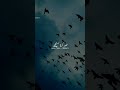 Sabar Status Sabar Karna Sikhen Kiyu Ki Allah Sab Janta Hai Shorts Urdu Thoughts Status