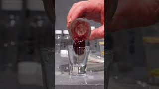 Snake Venom Turns Blood to Jelly | Australian Reptile Park