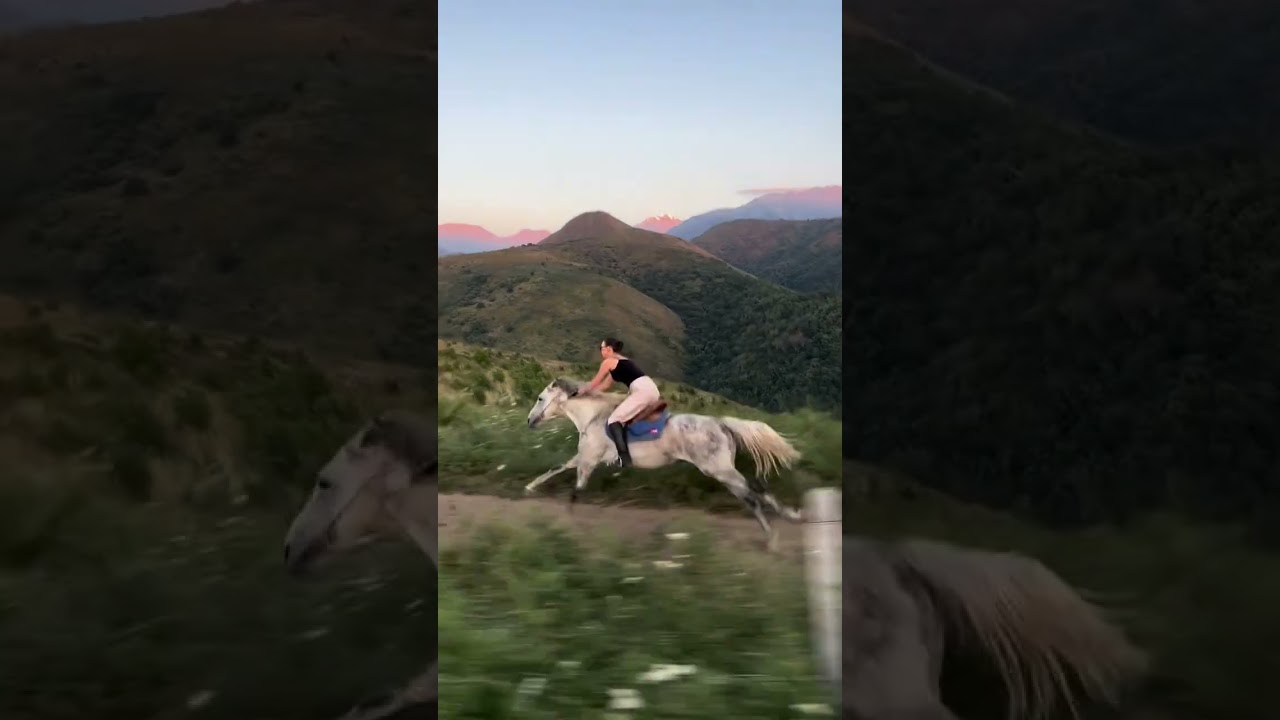 Riding into the sunset like a boss! 🔥 Tell me a better feeling than this? 👇#WildAndFree #HorseLover