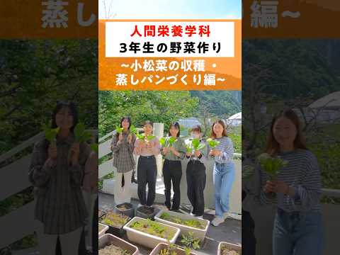 小松菜の蒸しパン 【人間栄養学科】文教農園005 #大学生 #小松菜 #広島文教大学