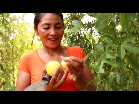 Survival skills:Find food & meet Nature passion fruit for eat - Natural passion eating delicious #49 Video
