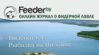 Что клюет на вилейке