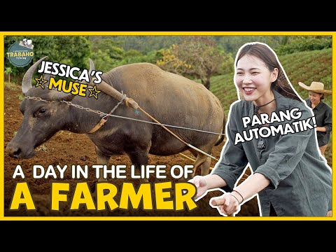 What It Takes to be a Farmer in the Philippines! 🇵🇭👩‍🌾 | TRABAHO EP. 2
