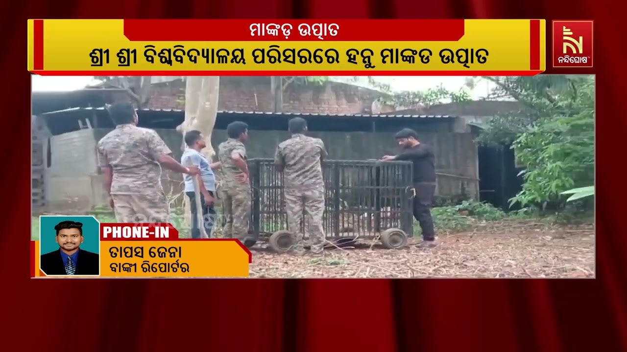 ଶ୍ରୀ ଶ୍ରୀ ବିଶ୍ଵବିଦ୍ୟାଳୟ ପରିସରରେ ହନୁ ମାଙ୍କଡ ଉତ୍ପାତ