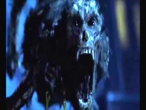 pirates of the caribbean skeleton crew pirates of the caribbean skeleton crew