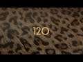 Lil Tecca 120 Lyric Video