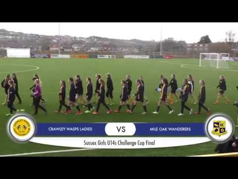 Crawley Wasps vs. Mile Oak Wanderers - 06-03-16