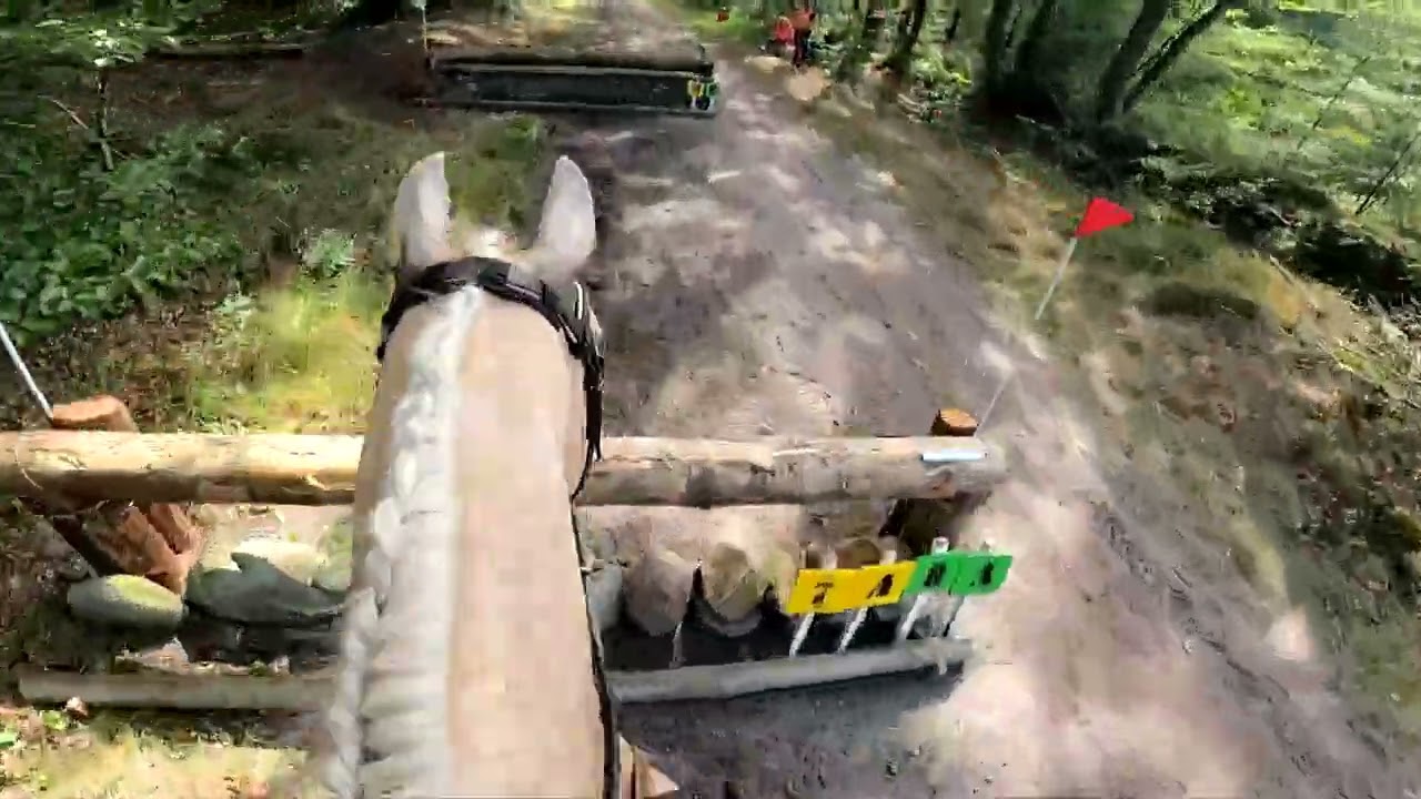 SGW Norg Klasse B paarden