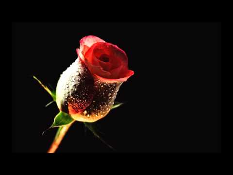 Sedat Uçan - Neredesin Anam