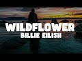 Billie Eilish WILDFLOWER Lyrics
