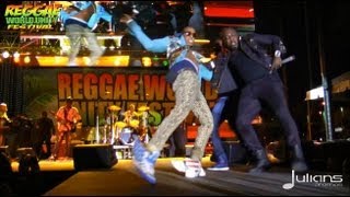 2013 Reggae World Unity Concert - Elephant Man Performance (Miami 1-20-2013)