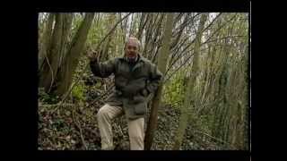 Western Front - Breaking The Front (Part 6/6)