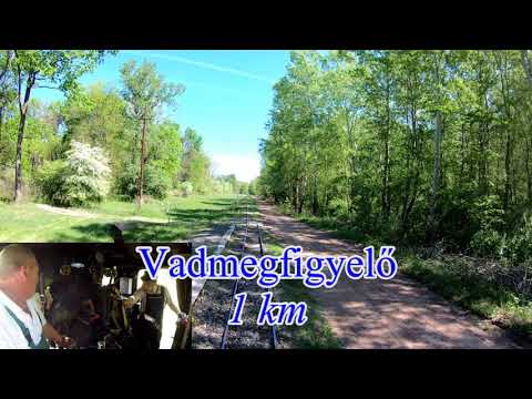 The Line Pörböly - Gyöngyösoldal (Nr. 310) 2018