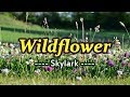 WILDFLOWER - Skylark (Karaoke Version)