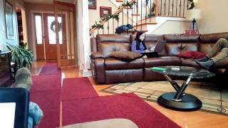 David Martinel's live broadcast