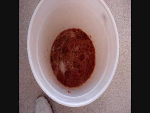 How To Make Plum Wine Part 1