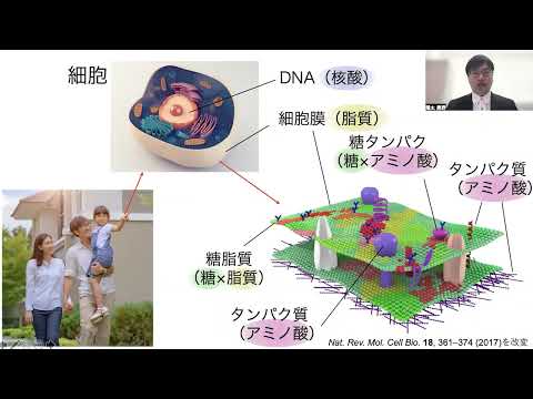 政策学科 関西大学 化学生命工学部　奥野陽太 助教　『体中にある分子を用いた、材料研究』