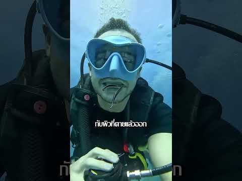 ปลาตัวจิ๋วที่ชอบว่าย “เข้าปาก” คนอื่นเอง 😳🐟