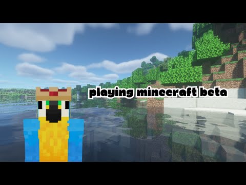 Insane Minecraft Beta gameplay by meepynoodles_