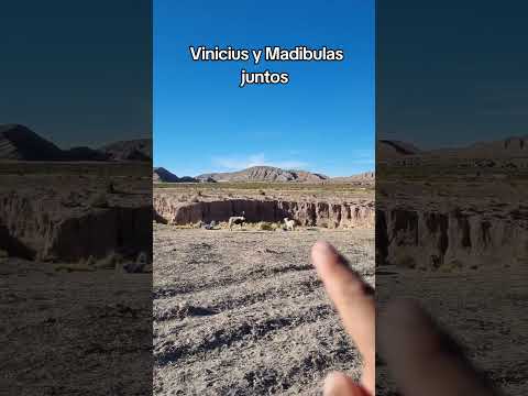 vinicius y mandíbulas juntos aquí en #curahuara_de_carangas #Oruro # Bolivia