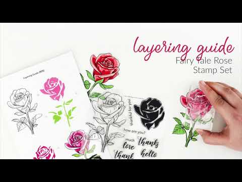 How to Use This Gorgeous Fairy Tale Rose Layering Stamp Set for Paper Crafting