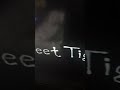 Kipper Trailer