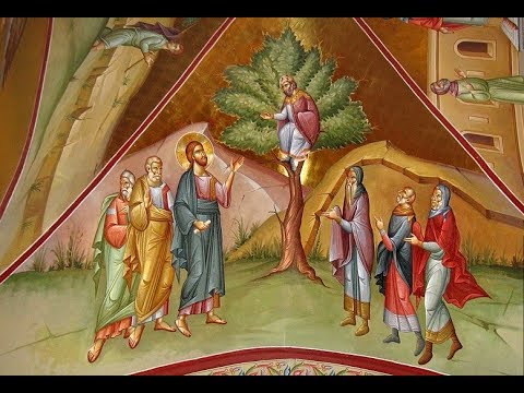 2018.01.21. Sunday of Zacchaeus. Sermon by Priest John Johnson