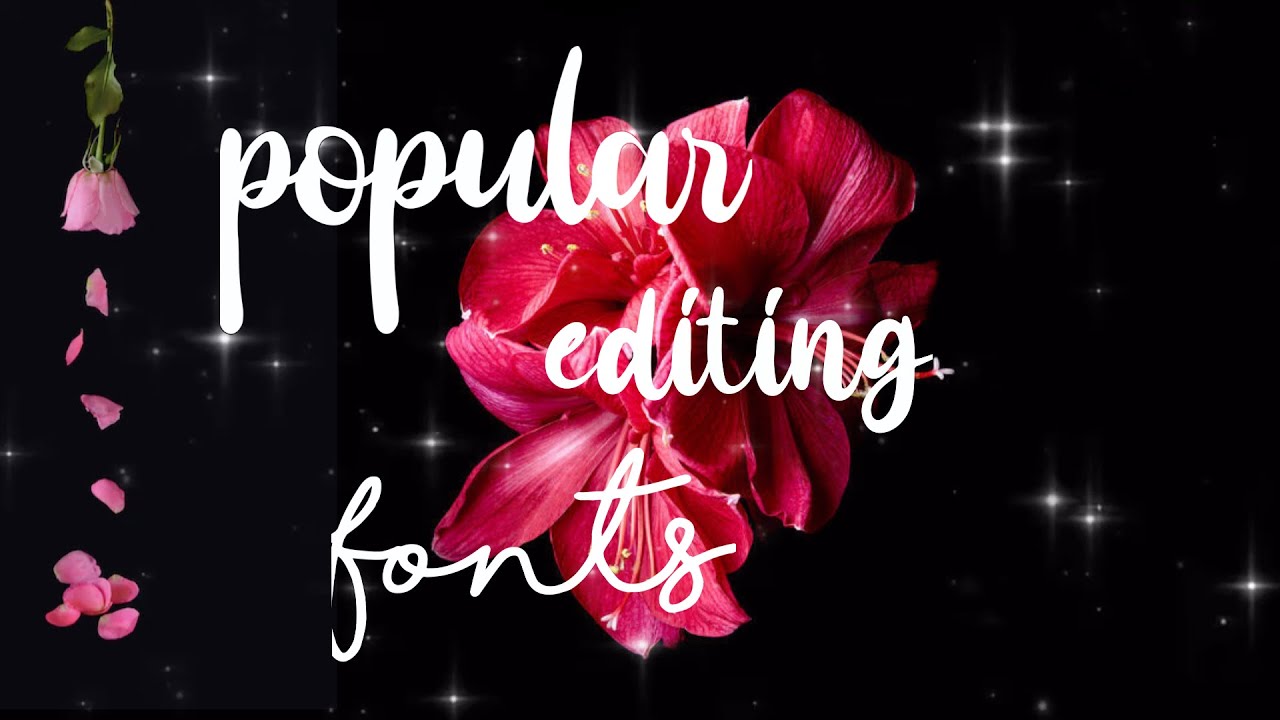 popular editing fonts