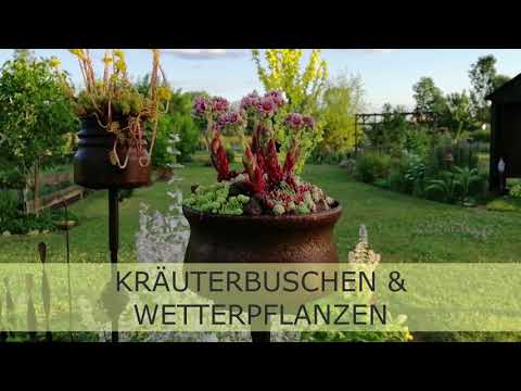 KRÄUTERBUSCHEN & WETTERPFLANZEN - Workshop AM SCHWALBENHOF