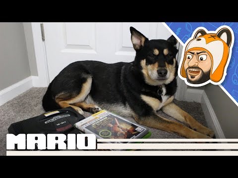 Thrifty Gaming Pickups: Half Price Books Game & Console Haul! - Episode 21