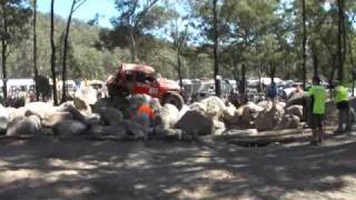 preview picture of video 'Tough Dog Tuff Truck Challenge 2011 Red Bitch On Devils Marbles'