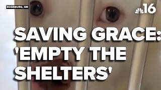 Roseburg animal shelter holds annual adoption event