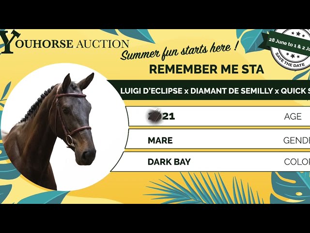 Remember Me STA