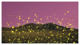 Tinie Tempah - Chasing Flies ft. Nea (Preview)