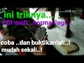 CDI Motor Mati Bisa Normal Lagi Cuma Pakai Trik Ini