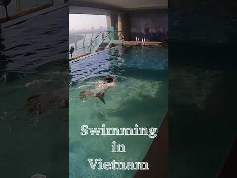 モダンな庭のスイミングプールのための 94 のデザインアイデア  庭園