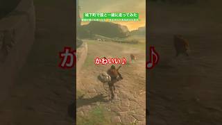 【#ゼルダの伝説ティアーズオブザキングダム 】城下町で狐と走ってみた
