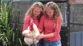 A Life For Birds - Twinnies Pelican and Seabird Rescue
