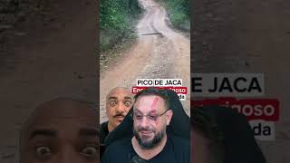 Surucucu-pico-de-jaca cruzando a estrada na mata #biologohenrique #animais #biologo