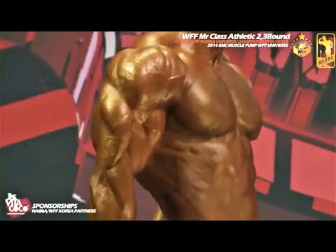 WFF Universe 2014 - Men Athletic