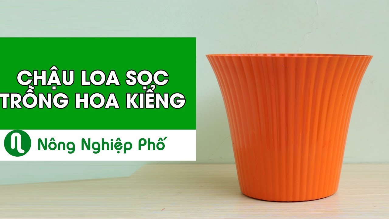 NB - Chậu loa sọc trồng hoa kiểng 28X25 - THT