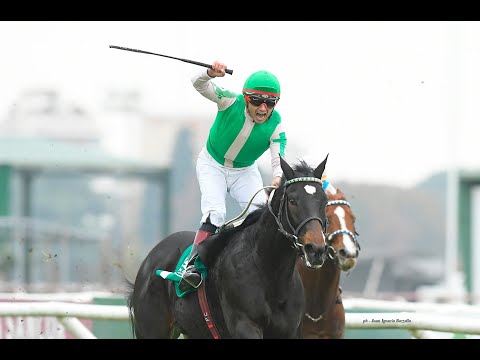 Gran Premio Gran Criterium (G1) 2025 - Ardiendo (Remote)